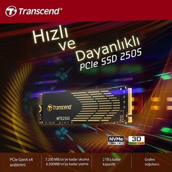 Transcend TS2TMTE250S 2 TB M2 SSD