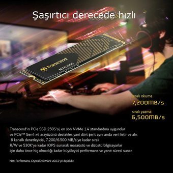 Transcend TS2TMTE250S 2 TB M2 SSD