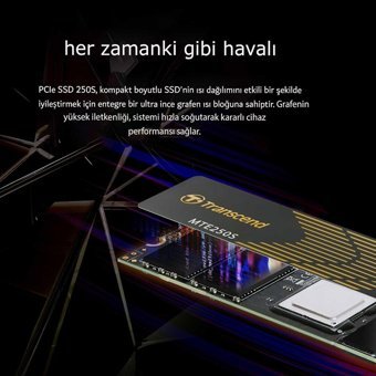 Transcend TS2TMTE250S 2 TB M2 SSD