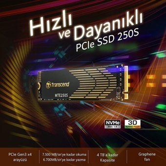 Transcend TS4TMTE250S 4 TB m2 SSD