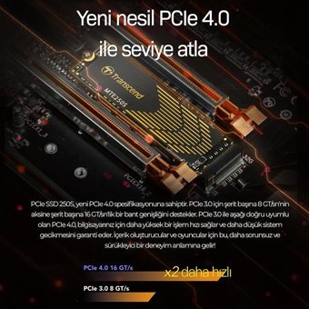 Transcend TS4TMTE250S 4 TB m2 SSD