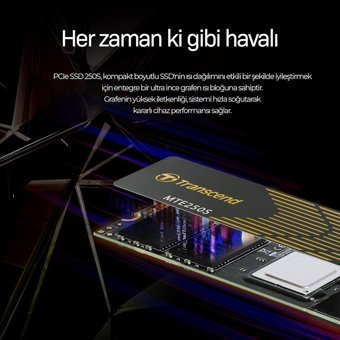 Transcend TS4TMTE250S 4 TB m2 SSD
