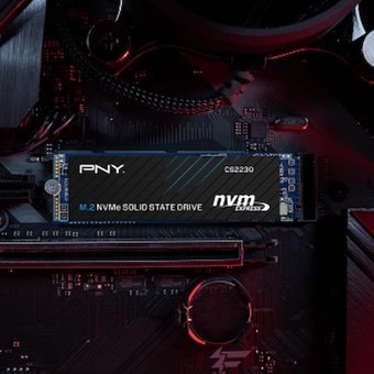 PNY M280CS2230-500-RB PCIe 250 GB M2 2280 SSD