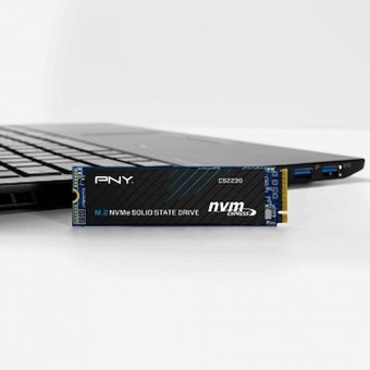 PNY M280CS2230-500-RB PCIe 250 GB M2 2280 SSD