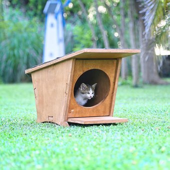 Mandu Dikdörtgen Tek Katlı Dış Mekan Ahşap Kedi Evi Kahverengi