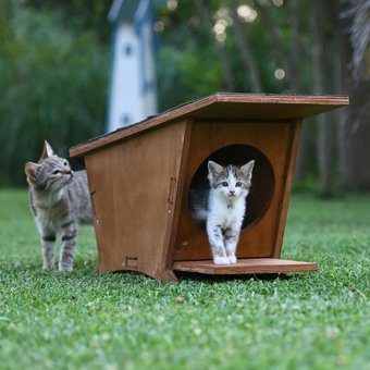 Mandu Dikdörtgen Tek Katlı Dış Mekan Ahşap Kedi Evi Kahverengi