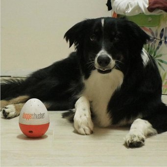 Doggie Bebek Kamerası