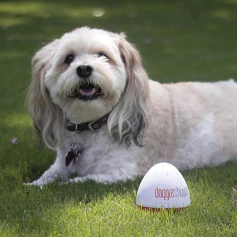 Doggie Bebek Kamerası