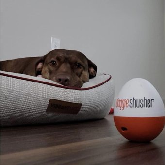 Doggie Bebek Kamerası