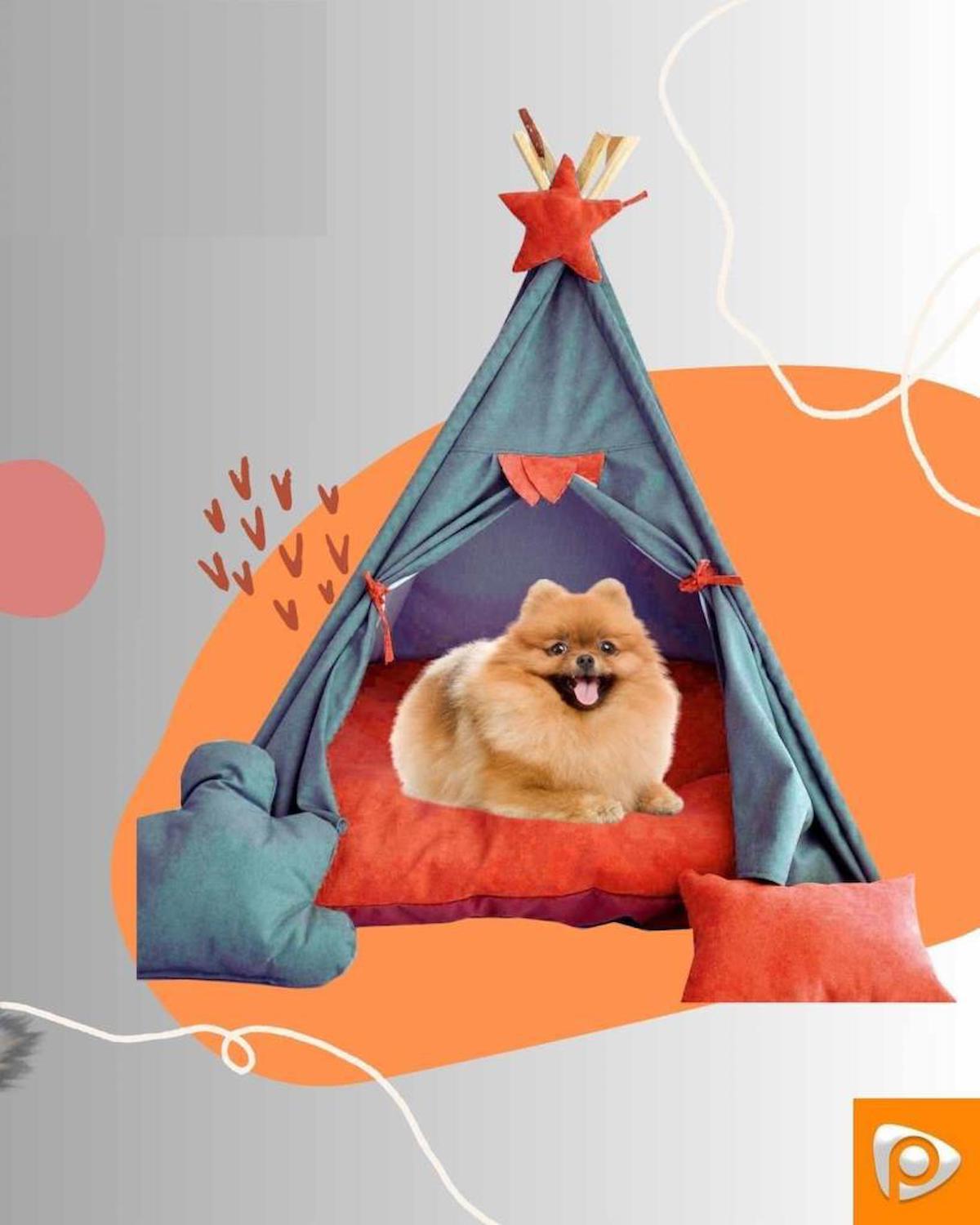 Prado Yıkanabilir Küçük Irk İç Mekan Köpek Yatağı Turkuaz
