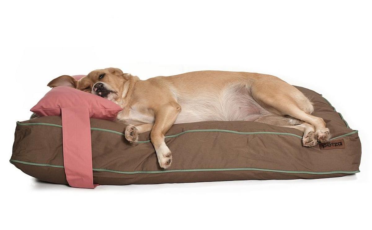 Petza Eula L Büyük ve Orta Irk İç Mekan Köpek Yatağı Kahverengi-Pembe
