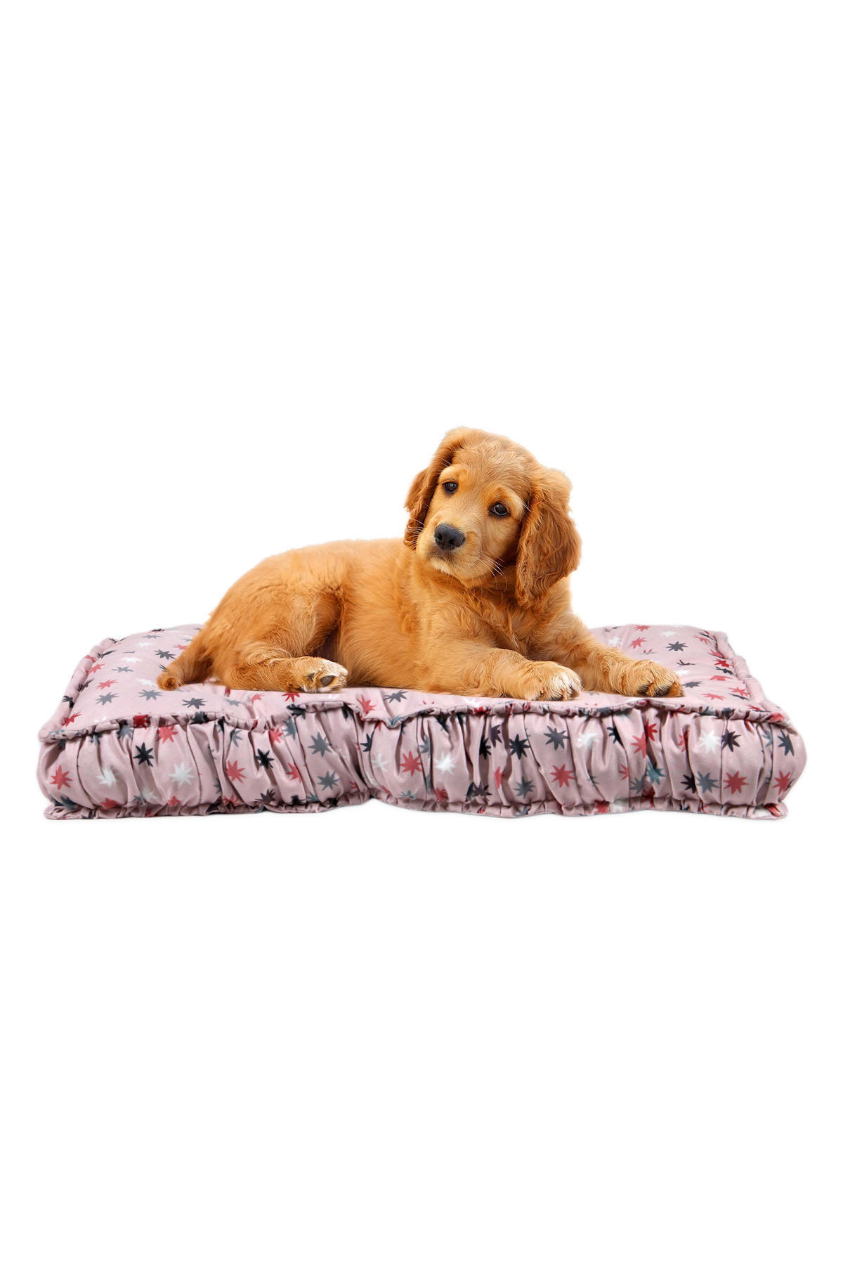 Jungo Pets Sandy Büyük Irk İç Mekan Köpek Yatağı Antrasit