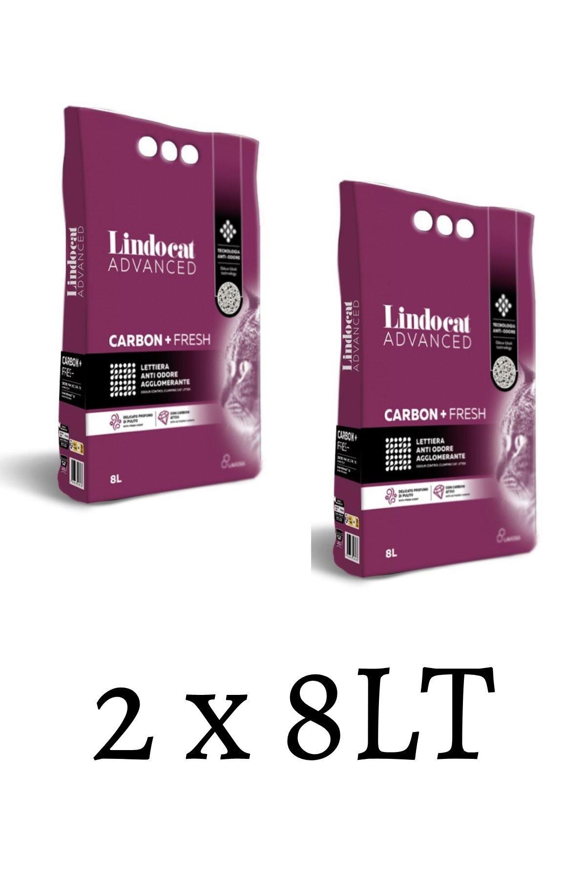 LindoCat Kokusuz Topaklanan İnce Taneli Bentonit Kedi Kumu 2 x 8 lt