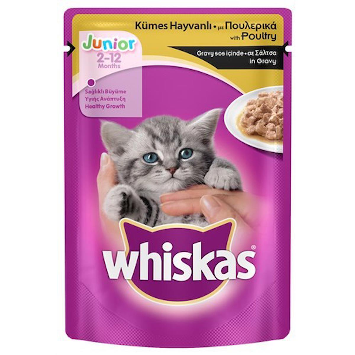 Whiskas In Gravy Tavuklu Yavru Yaş Kedi Maması 100 gr