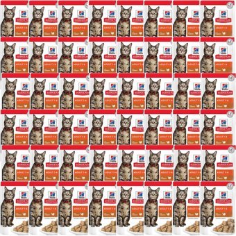 Hill's Chunks & Gravy Hindi Etli Yetişkin Yaş Kedi Maması 48x85 gr