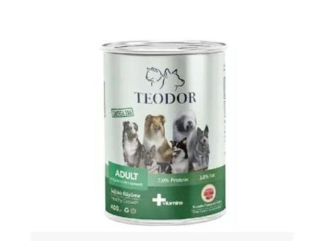 Teodor Sağlıklı Büyüme Kuzu Etli Parça Etli Soslu Yetişkin Yaş Kedi Maması 400 gr