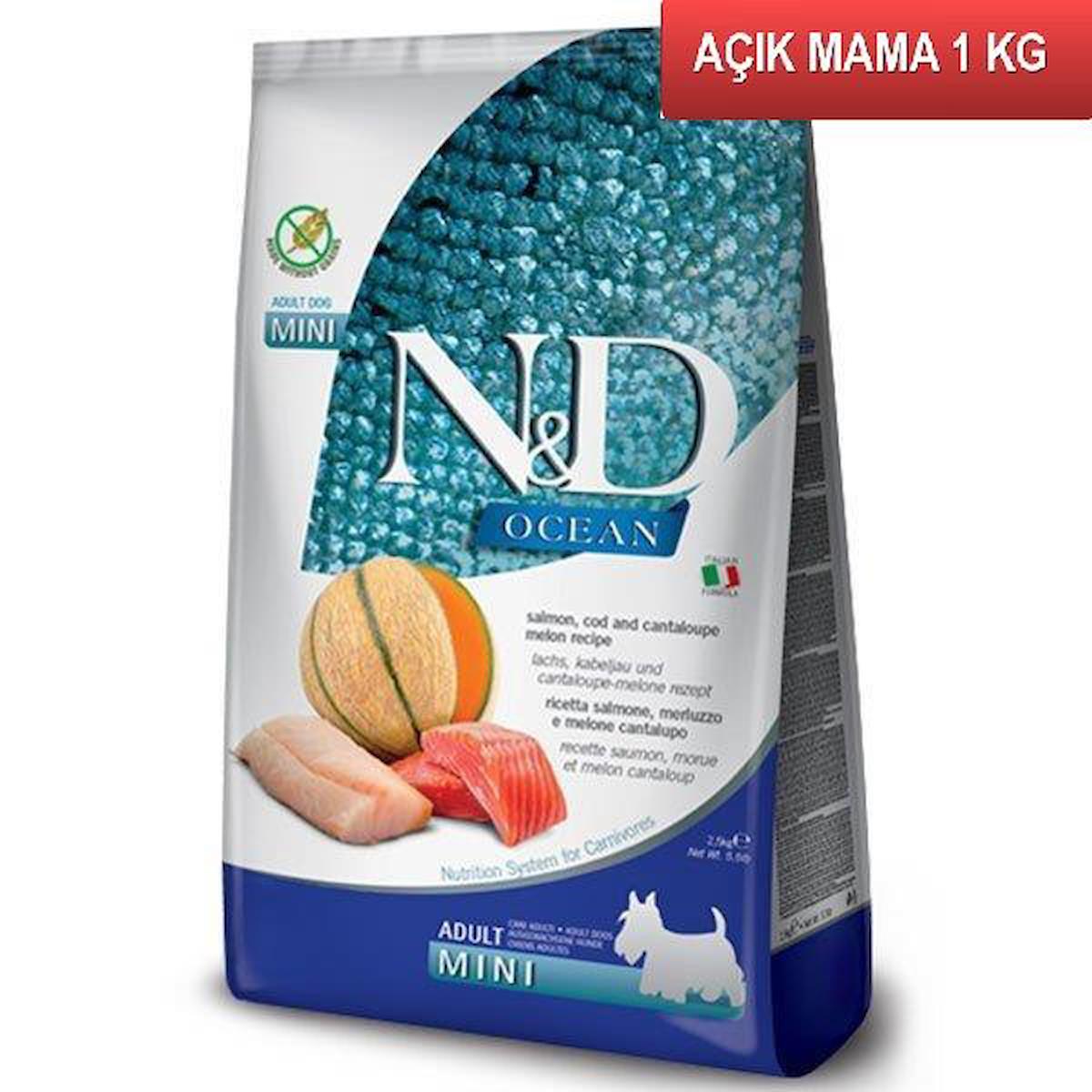 N&D Ocean Bal Kabaklı ve Kavunlu Mini Irk Yetişkin Kuru Köpek Maması 1 kg