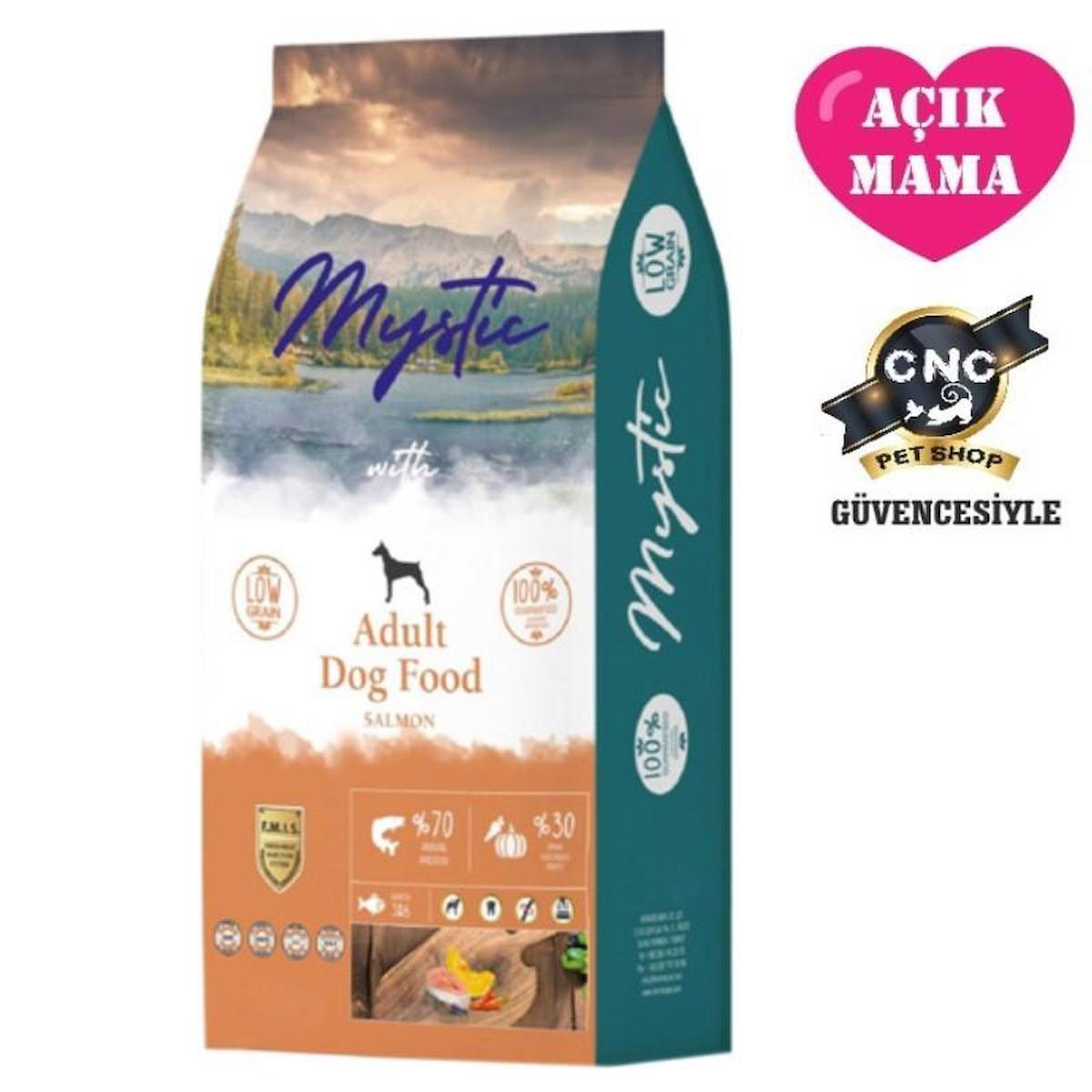 Mystic Somonlu Tüm Irklar Yetişkin Kuru Köpek Maması 1 kg
