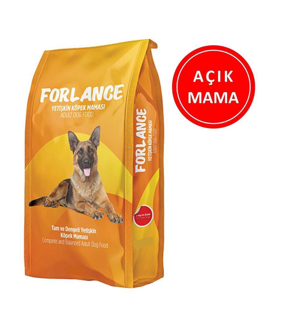 Forlance Balıklı Tüm Irklar Yetişkin Kuru Köpek Maması 1 kg