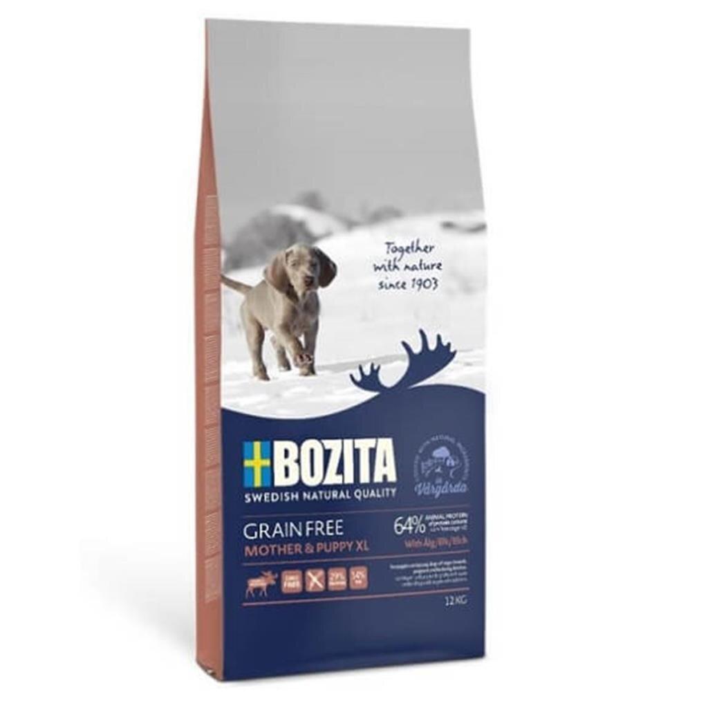 Bozita Grain Free Geyik Eti Büyük Irk Yavru Kuru Köpek Maması 12 kg