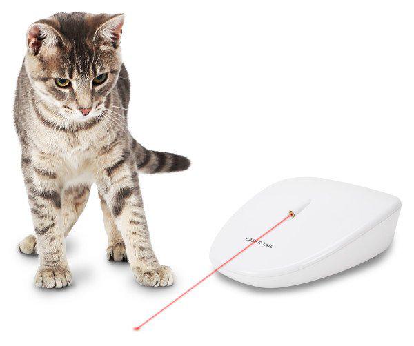 Petsafe PTY19-17327 Hareketli Aktivite Yavru-Yetişkin Aktivite Kedi Oyuncağı