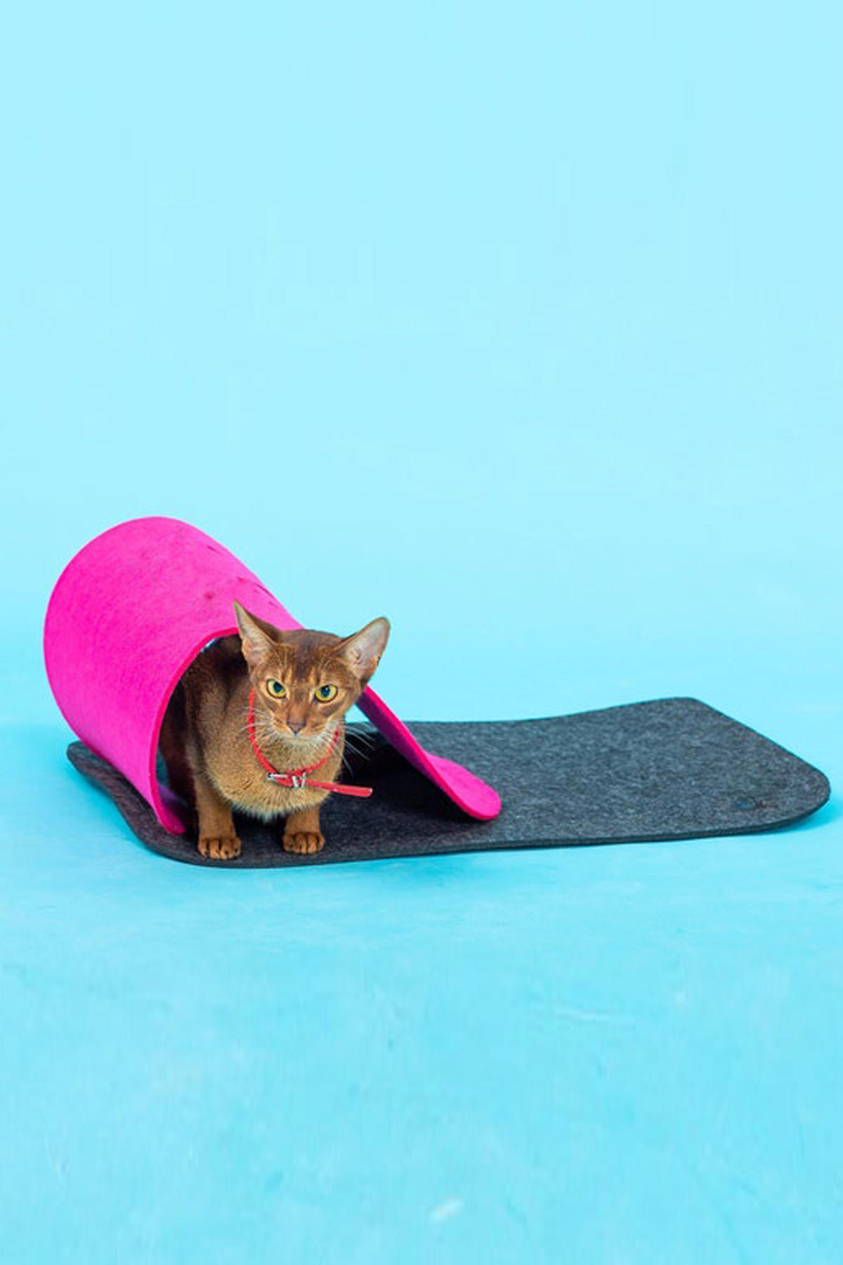 Ovis Tırmalama Yavru-Yetişkin Kedi Tüneli Kedi Oyuncağı