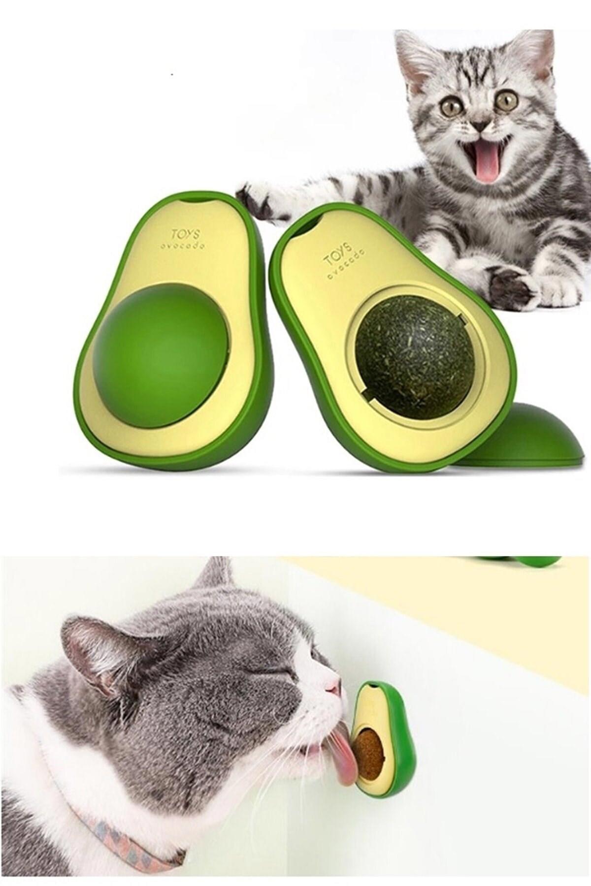 Pazariz Avokado Hareketli Kedi Otlu Aktivite Yavru-Yetişkin Aktivite Kedi Oyuncağı