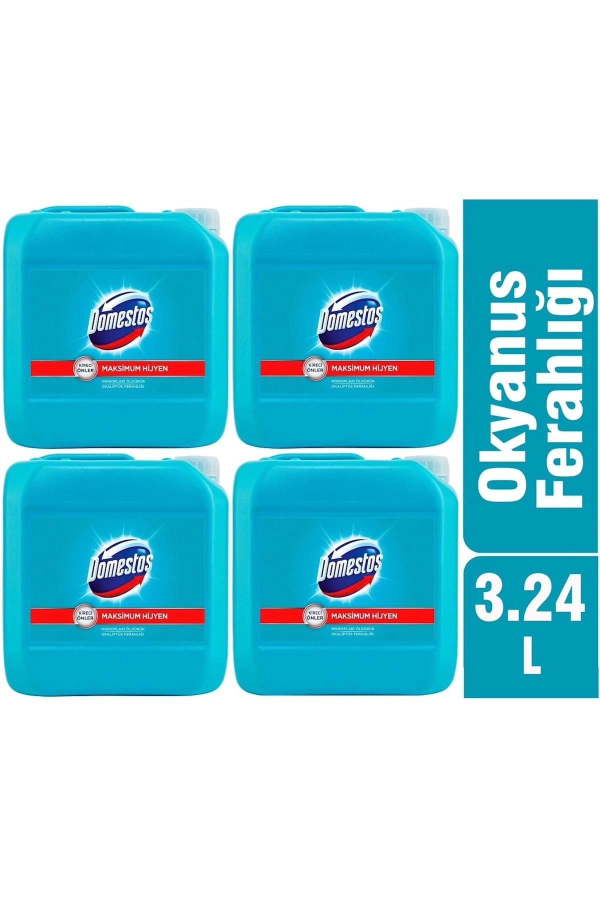 Domestos Okaliptus Ferahlığı Beyazlar İçin Sıvı Çamaşır Suyu 4x3.24 lt