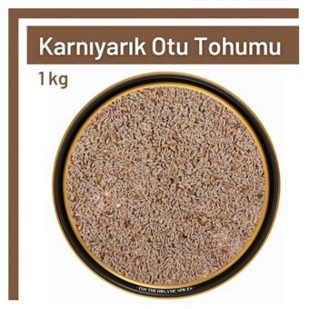 Tos The Organic Spices Glutensiz Karnıyarık Otu Tohumu Tane 1 kg