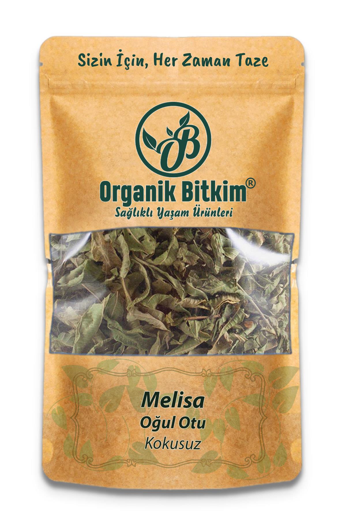 Organik Bitkim Glutensiz Oğul Otu - Melisa (Kokusuz) Tane 1 kg