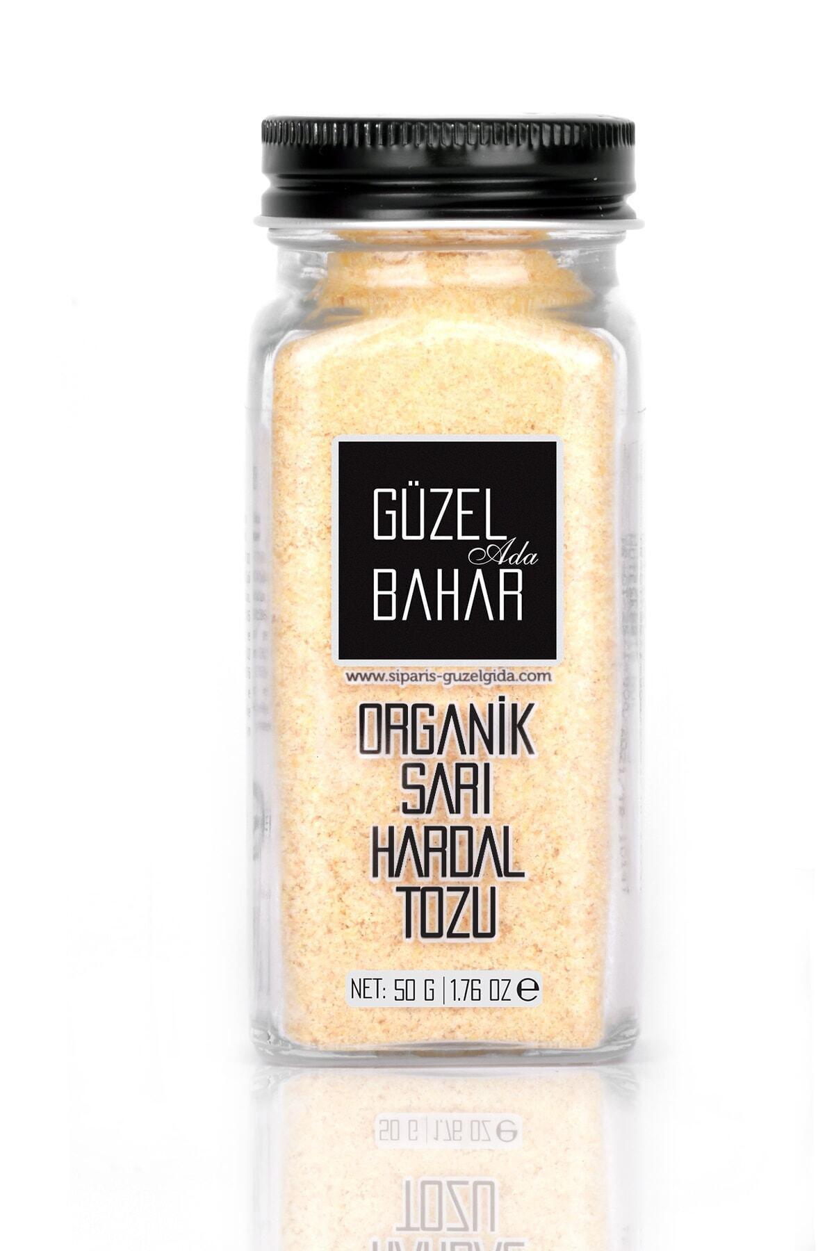 Güzel Ada Gıda Vegan Hardal Toz 45 gr