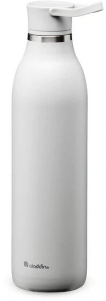 Aladdin CityLoop Thermavac eCycle Paslanmaz Çelik 600 ml Matara Termos Gri