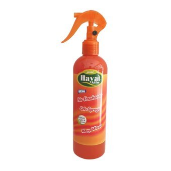 Hayat Mango-Kavun 350 ml
