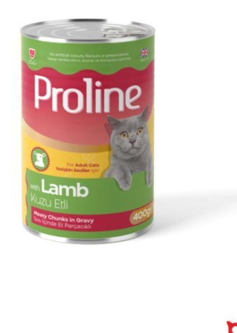 Proline Kuzu Etli Yetişkin Yaş Kedi Maması 400 gr