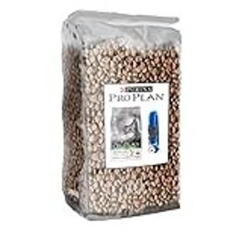 Pro Plan Sterilised Somonlu Yetişkin Kuru Kedi Maması 1 kg