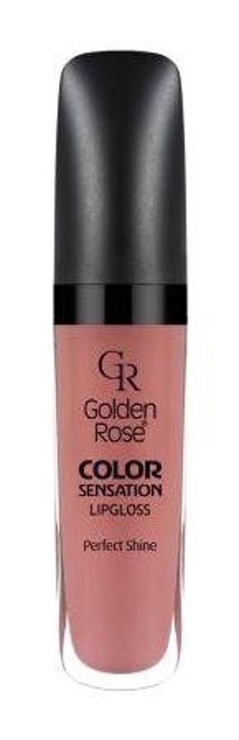 Golden Rose Color Sensation Color Sensation 117 Dudak Parlatıcısı Pembe