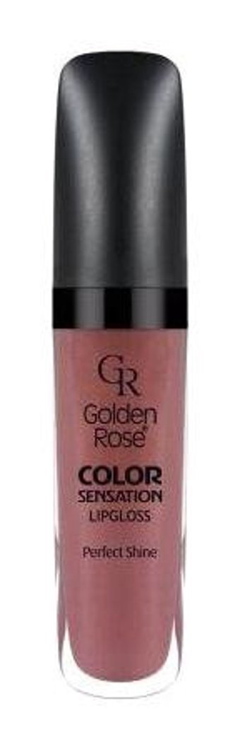 Golden Rose Color Sensation Perfect Shine 121-201 Dudak Parlatıcısı Kahverengi