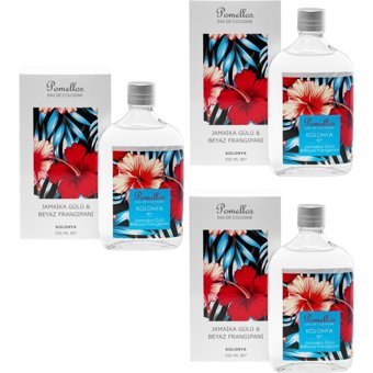 Pomellos Cam Şişe Kolonya 3x250 ml