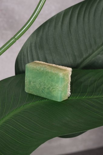 Garibanni Organik Aloe Vera- Kabak Lifli Sabun 130 gr