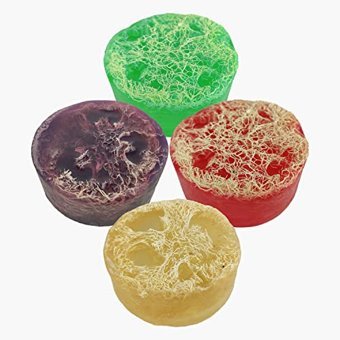 Carvien's Organik Kabak Lifli Sabun 4x110 gr