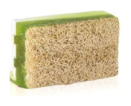 Omorphia Organik Kabak Lifli-Yosun Sabun 100 gr