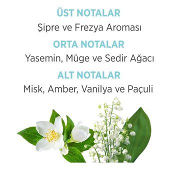 Emotion Ocean Fresh EDP Meyveli Kadın Parfüm 50 ml