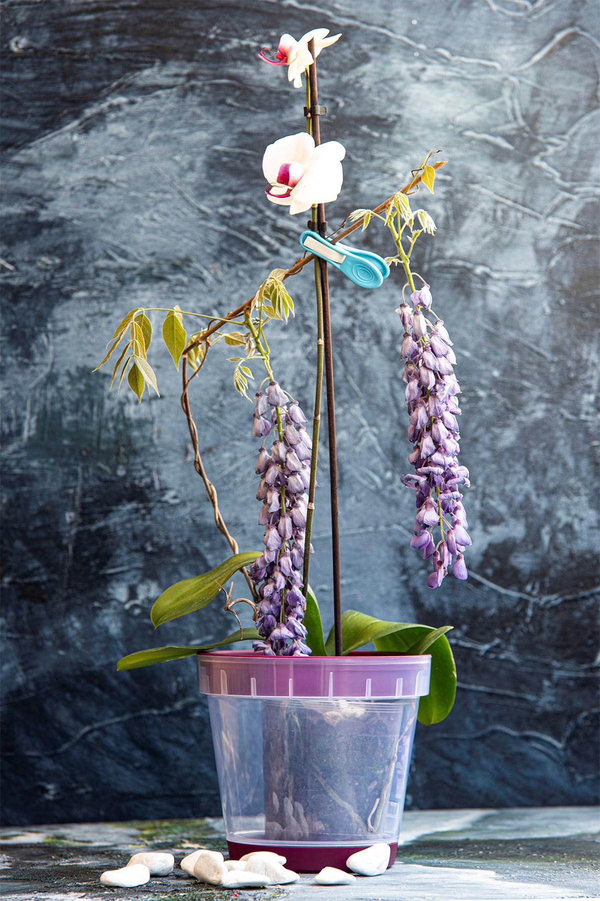Anı Home Plastik Yuvarlak Orkide Saksı Mürdüm