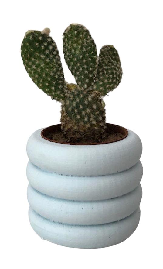 Cococraft Beton Yuvarlak Kaktüs Saksı Mavi