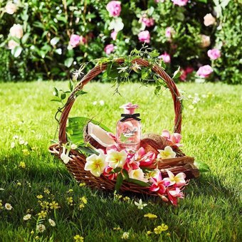 Dolce & Gabbana Dolce Garden EDP Meyveli Kadın Parfüm 50 ml