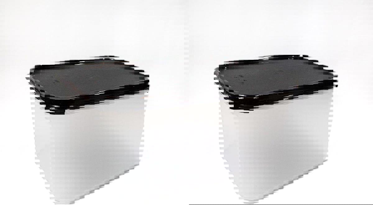 Tupperware 2 Parça Dikdörtgen Plastik Saklama Kabı 4.3 lt