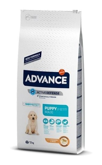 Advance Puppy Protect Maxi Tavuklu Yavru Kuru Köpek Maması 12 kg