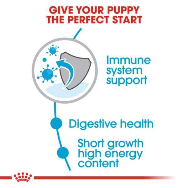 Royal Canin Tavuklu Yavru Kuru Köpek Maması 4 kg