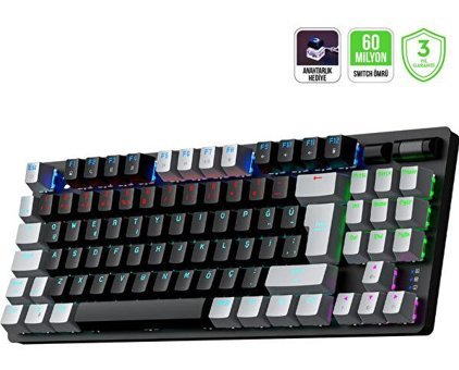 Gamepower Eva 5 60M Türkçe Q Red Switch Siyah Mekanik Gaming Klavye
