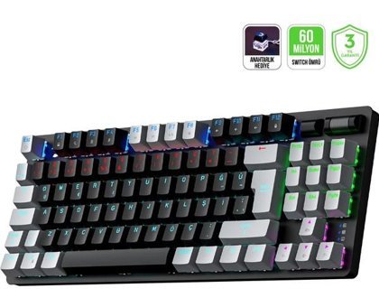 Gamepower Eva 5 60M Türkçe Q Blue Switch Siyah Mekanik Gaming Klavye